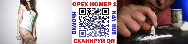 Cocaine FishScale  MEGA как зайти  Курчалой 