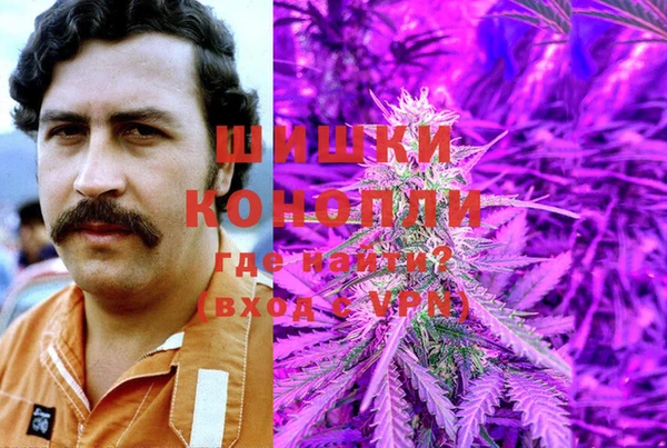 круглые Алзамай