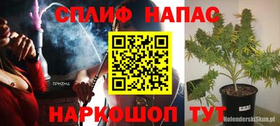 эйфоретик Камышлов