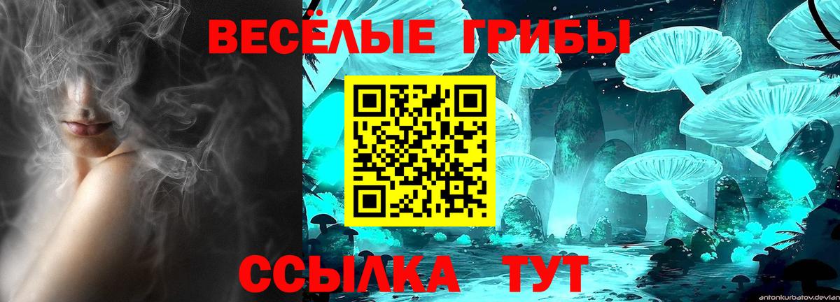 Псилоцибиновые грибы прущие грибы Курчалой
