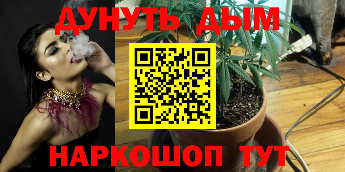 Курчалой  Конопля семена  Вход с VPN  МАРИХУАНА OG Kush  Конопля THC 21%  Бошки марихуана тримм 